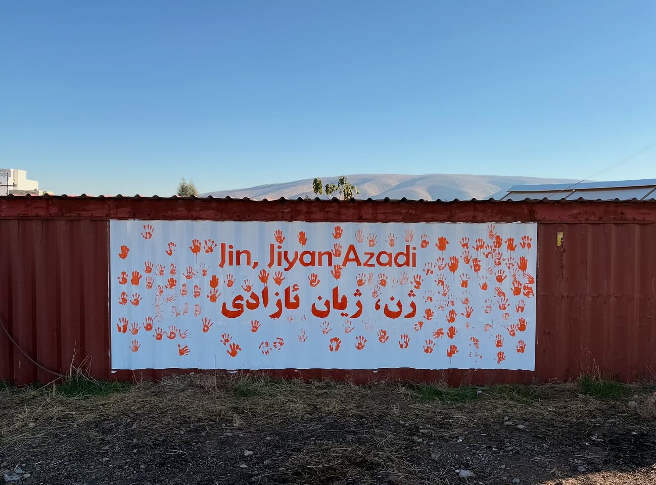 International Day for the Elimination of Violence against Women.